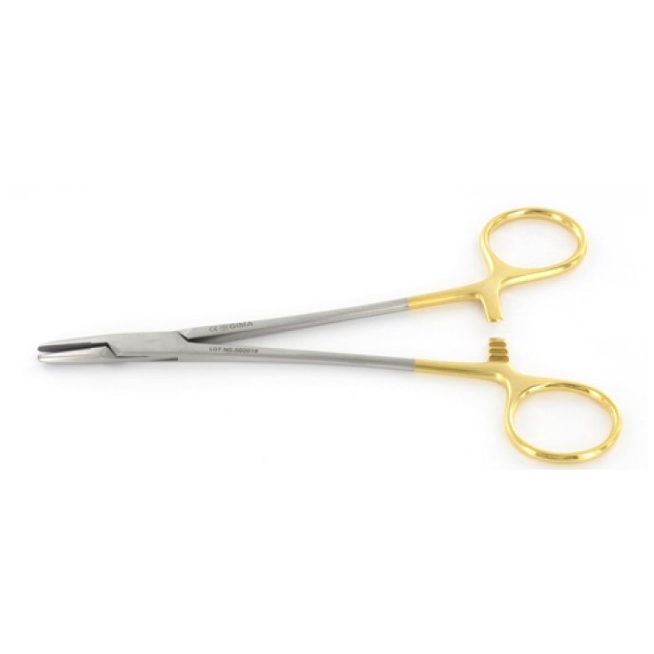 PORTA AGHI MAYO HEGAR - 20 cm - Texa biomedicali